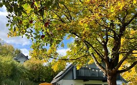 All inclusive Ferienhaus JULYN , Seepark